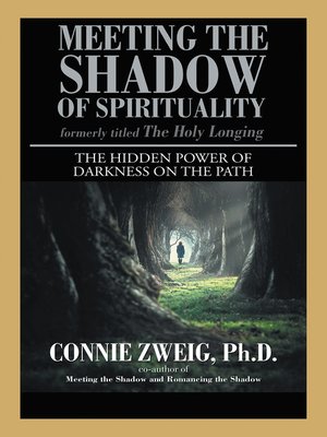 cover image of Meeting the Shadow of Spirituality